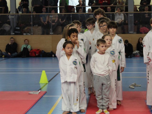 Týnecký pohár leden 2025