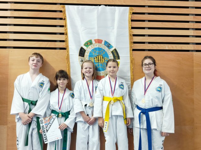 Týnecký pohár listopad 2024