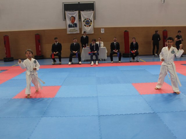 Týnecký pohár leden 2025