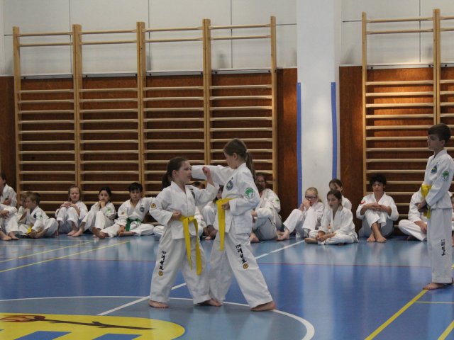 Zkoušky na TS KUP červen 2024