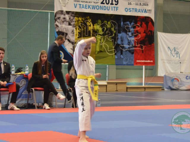 Obrázek