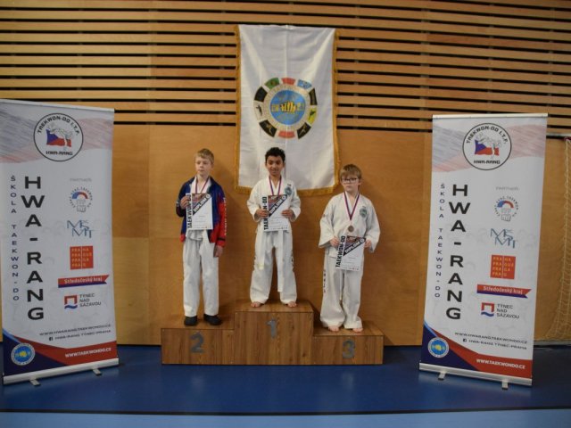 Týnecký pohár leden 2025