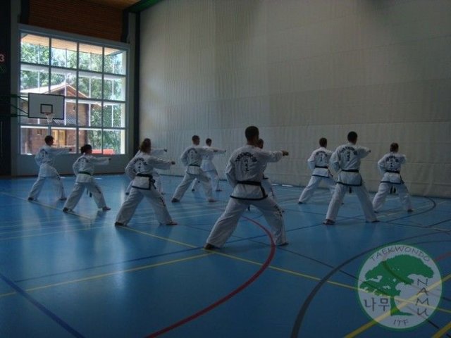 TKD Kemp Švýcarsko červen 2011