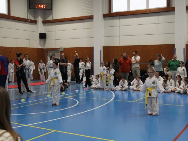 Čestlický pohár březen 2025