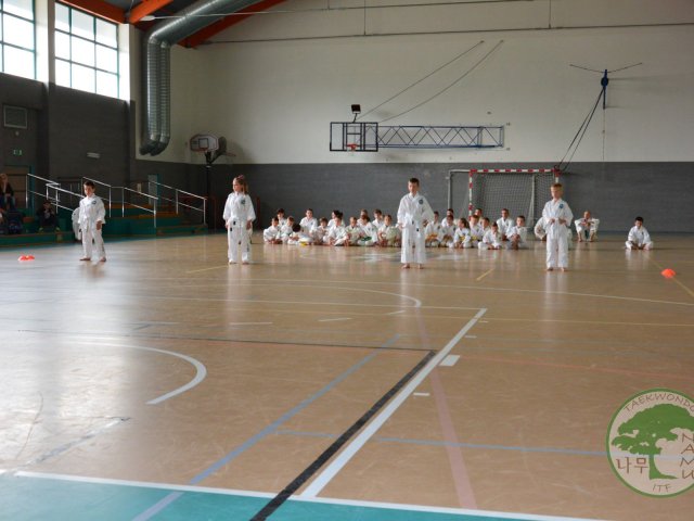 Obrázek
