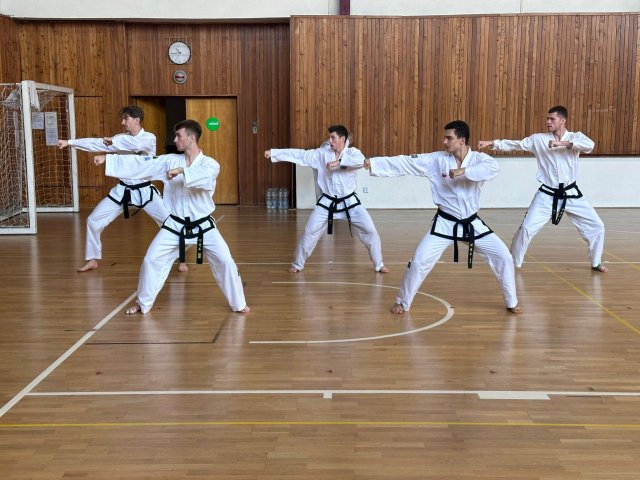 soustředění státní reprezentace ČR před Mistrovstvím Světa