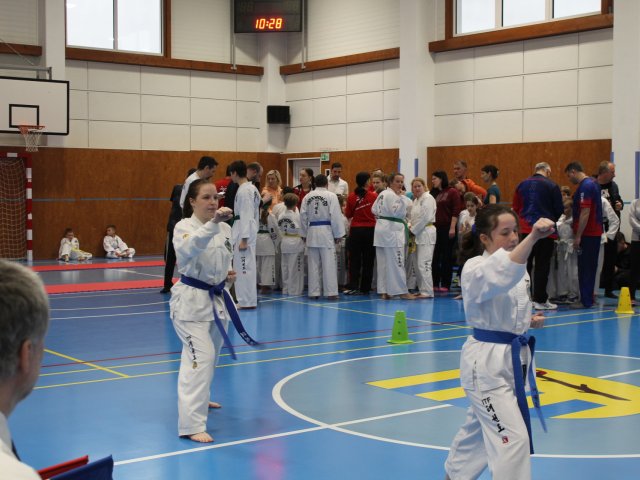 Čestlický pohár březen 2025