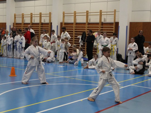 Čestlický pohár březen 2025