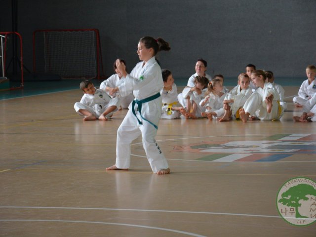 Obrázek