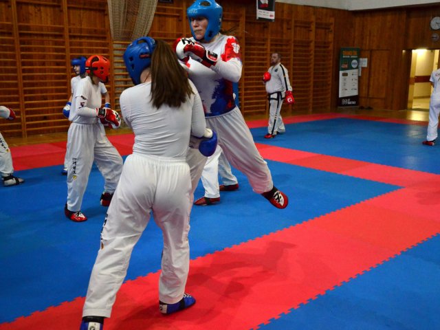 soustředění státní reprezentace ČR před Mistrovstvím Evropy 24´