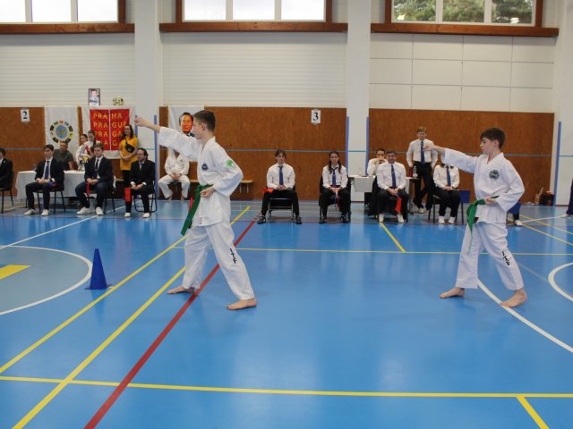 Čestlický pohár březen 2024