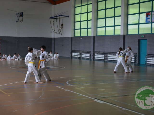 Zkoušky 2016