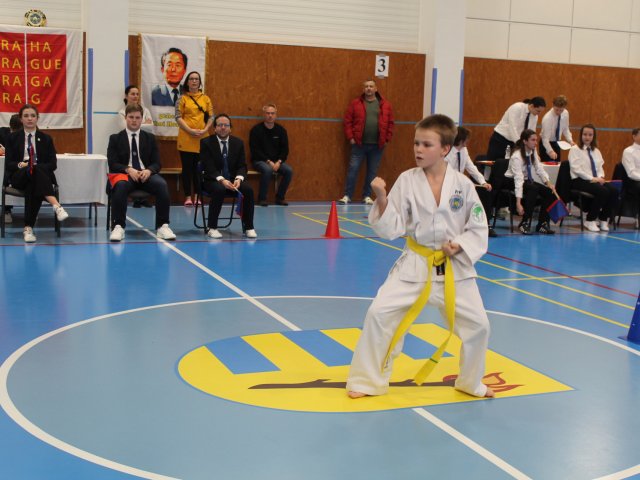 Čestlický pohár březen 2024