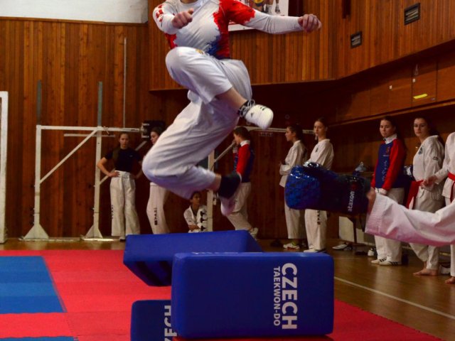 soustředění státní reprezentace ČR před Mistrovstvím Evropy 24´