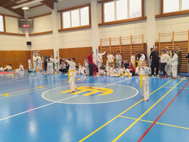 Čestlický pohár prosinec 2024