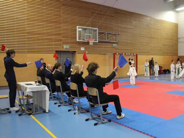 Týnecký pohár leden 2026
