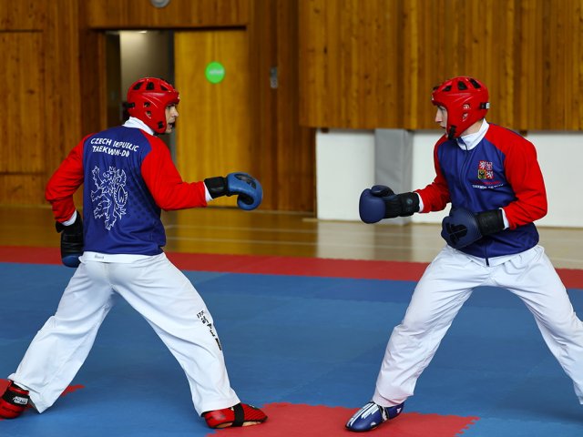 soustředění státní reprezentace ČR před Mistrovstvím Světa